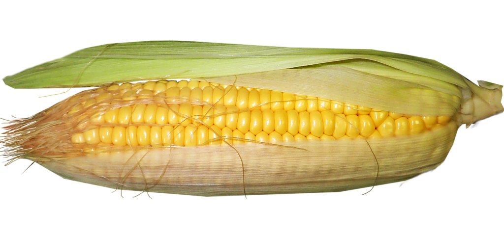 GLP-1ダイエットの仕組みをわかりやすく解説しますか？