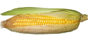 GLP-1ダイエットの仕組みをわかりやすく解説しますか？