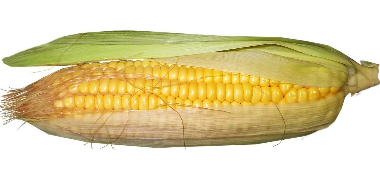 GLP-1ダイエットの仕組みをわかりやすく解説しますか？